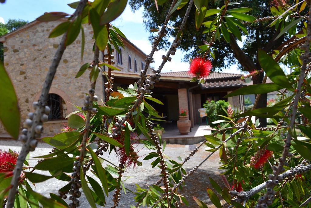 Agriturismo La Ghiraia Санта-Луче Номер фото