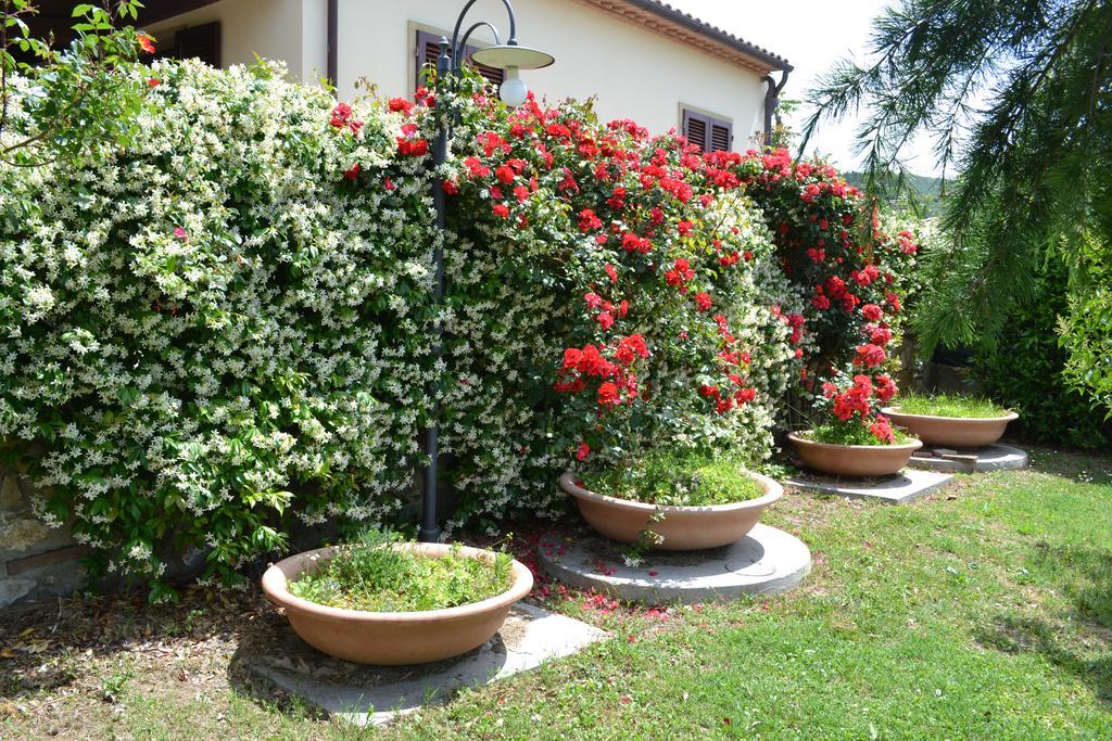 Agriturismo La Ghiraia Санта-Луче Экстерьер фото