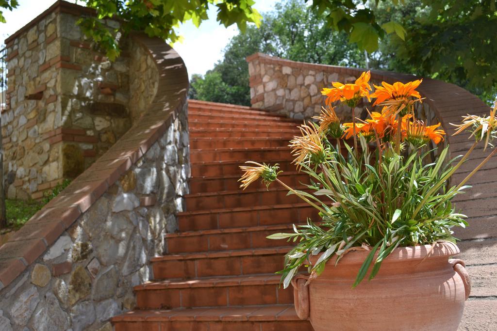 Agriturismo La Ghiraia Санта-Луче Экстерьер фото